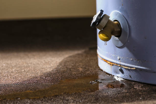 Best Local water damage restoration  in Coldstream, OH