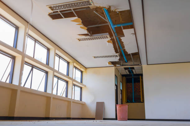 Best Water damage restoration cost  in Coldstream, OH