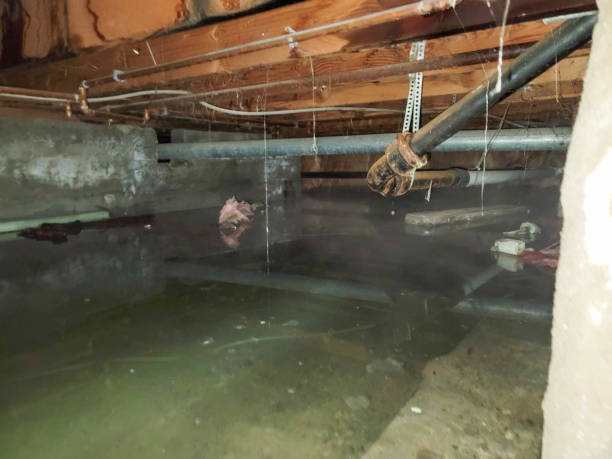 Best 24/7 water damage repair  in Coldstream, OH