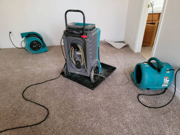  Coldstream, OH Water damage restoration Pros