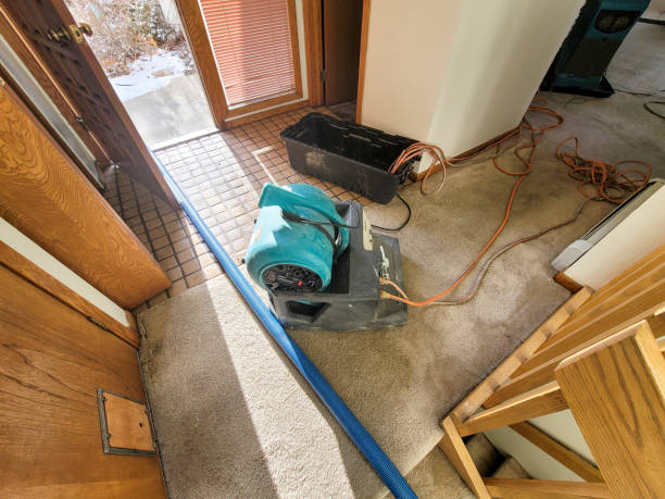 Best Water damage contractors near me  in Coldstream, OH