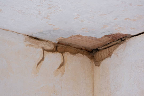  Coldstream, OH Water damage restoration Pros