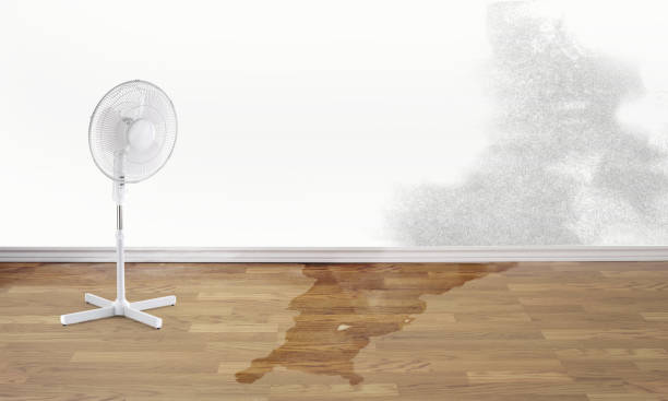 Best Flood damage cleanup  in Coldstream, OH