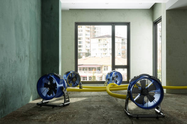 Best Water damage restoration near me  in Coldstream, OH